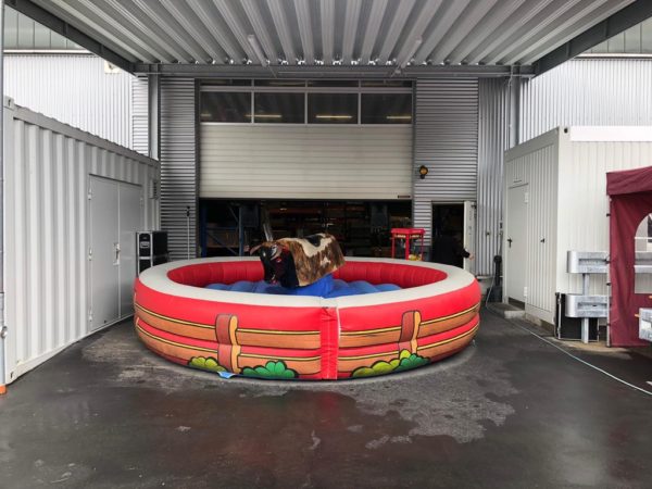Bullriding Verleih | MSE-Connection